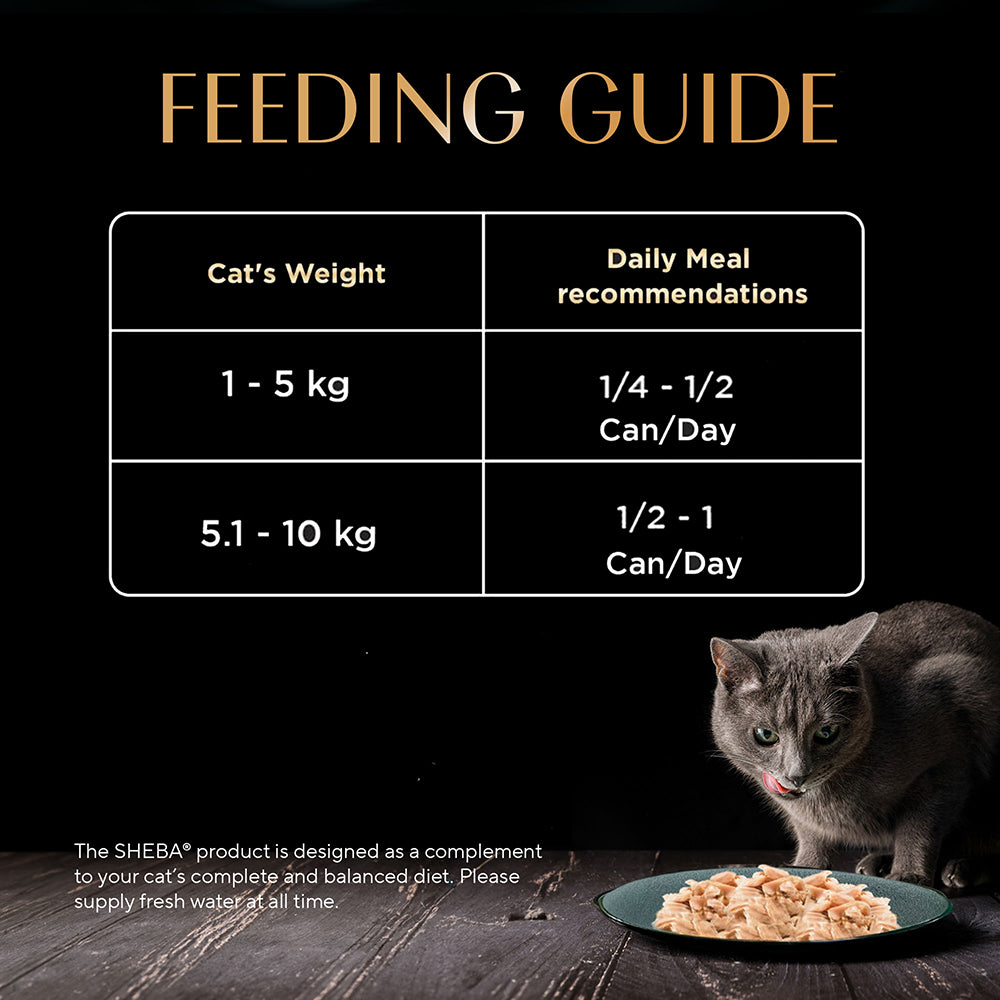 Sheba Deluxe Premium (1+ Years) Tuna and Snapper in Gravy Adult Wet Cat Food - 85 g - Pack