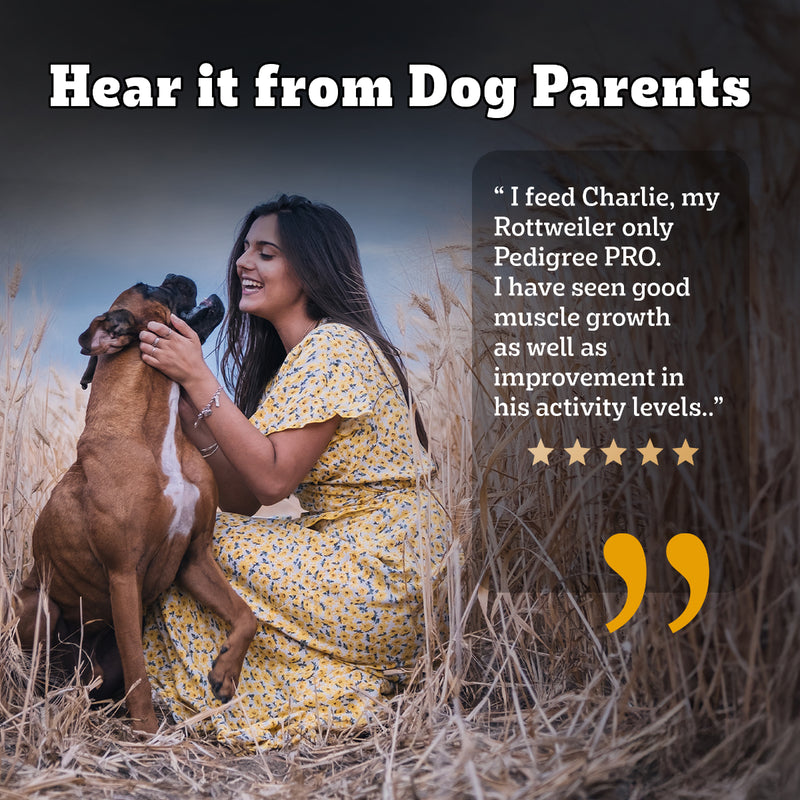 Pedigree PRO Expert Nutrition Active Adult Dry Dog Food - Heads Up For Tails