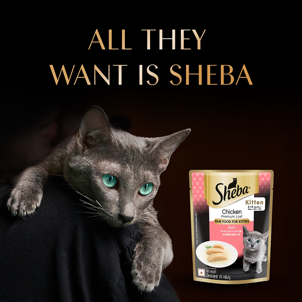 Sheba Chicken Premium Loaf Wet Kitten Food - 70 gm Packs