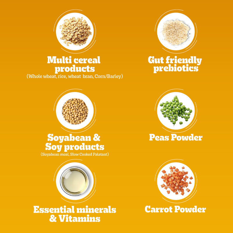 Pedigree 100% Vegetarian Dry Food For Adult Dog