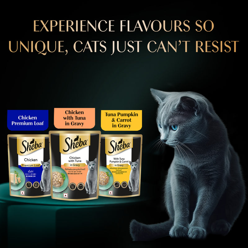 Sheba Rich Chicken Premium Loaf Adult Wet Cat Food - 70 gm Packs