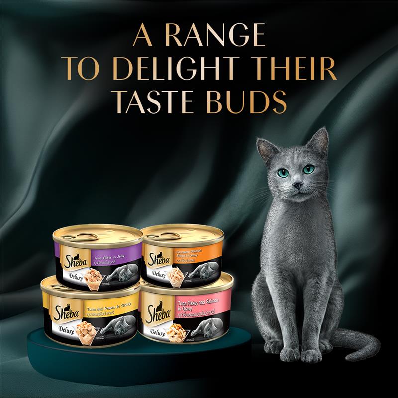 Sheba Deluxe Premium (1+ Years) Tuna Flakes & Salmon In Gravy Adult Cat Wet Food - 85 gm - Pack
