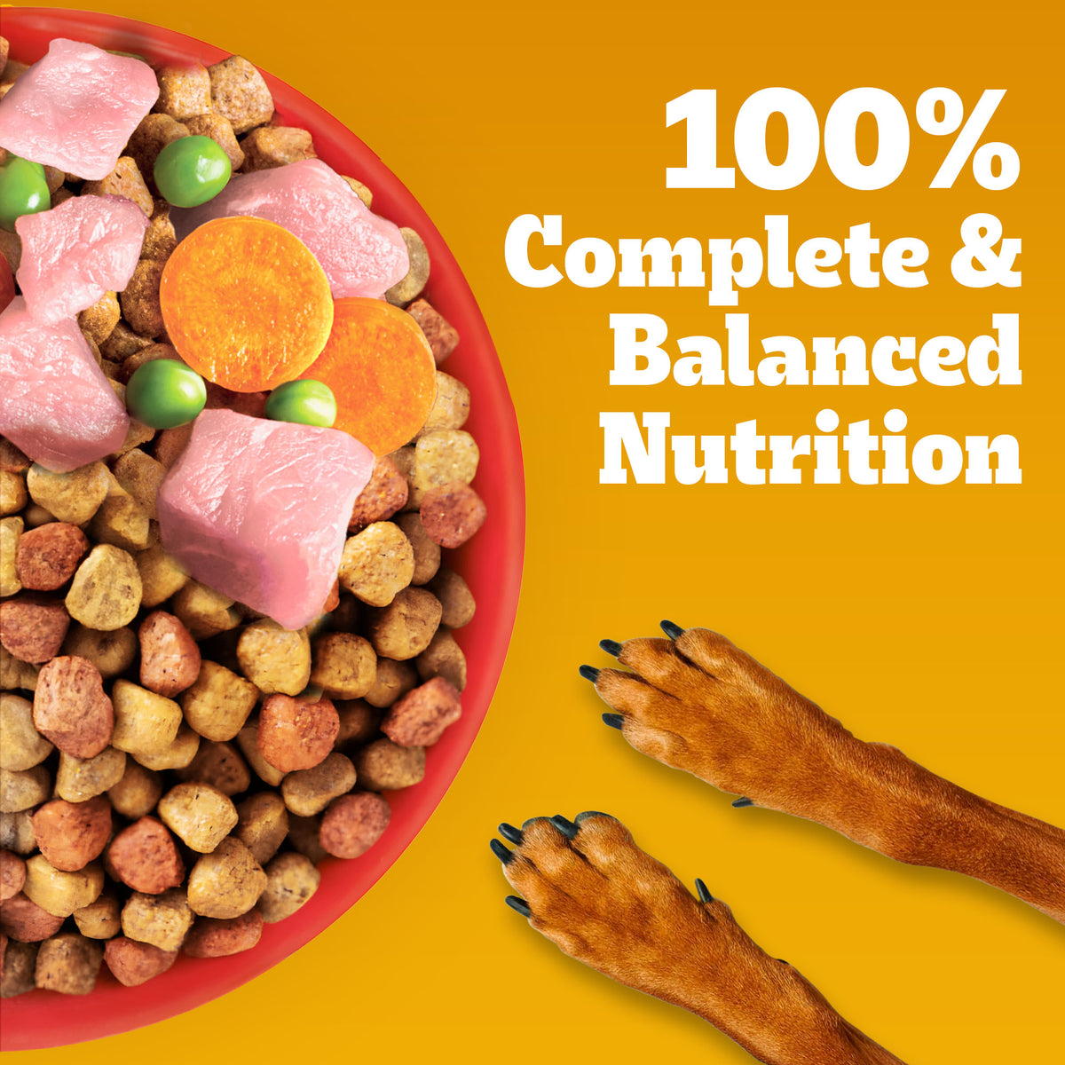 Pedigree Chicken & Vegetables Adult Dry Dog Food - Heads Up For Tails
