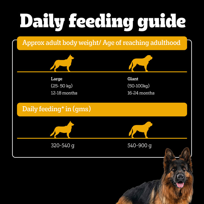 Pedigree PRO Expert Nutrition Active Adult Dry Dog Food - Heads Up For Tails
