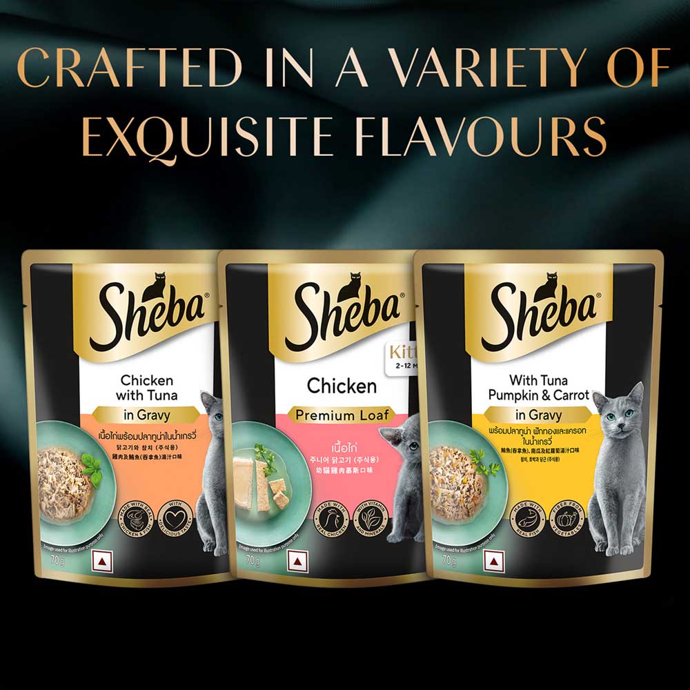 Sheba Chicken Premium Loaf Wet Kitten Food - 70 gm Packs - Heads Up For Tails