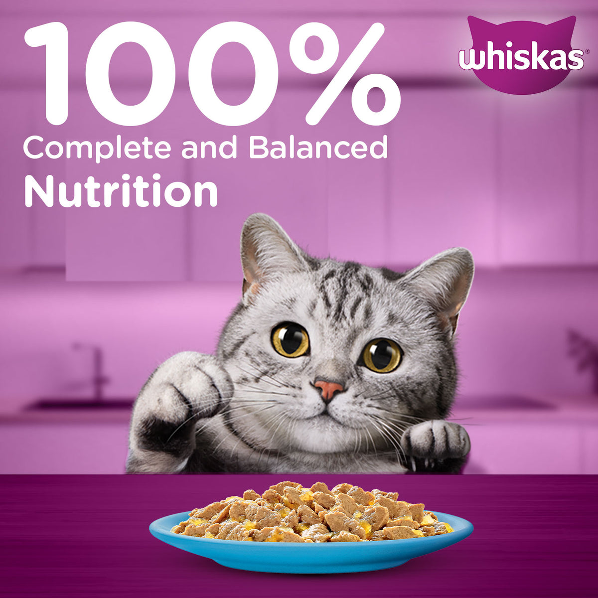 Whiskas Tuna in Jelly  (1+ Years) Wet Food For Adult Cat - 80 gm Pack - Heads Up For Tails