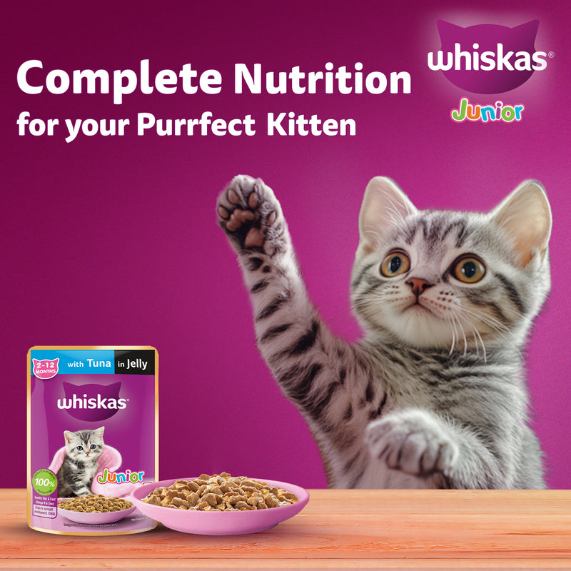 Whiskas Tuna in Jelly (2-12 Months) Wet Food For Kitten - 80 gm Pack - Heads Up For Tails