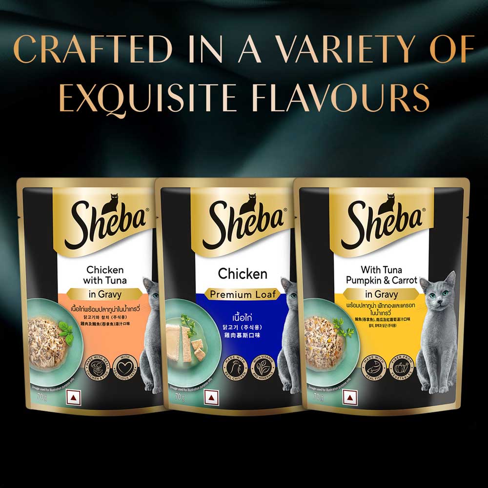 Sheba Rich Premium (1+ Years) Tuna Pumpkin & Carrot In Gravy Adult Wet Cat Food - 70 gm Packs