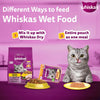 Whiskas Chicken with Salmon in Jelly Flavour (1+ Years) Adult Cat Wet Food - 80 gm Pack