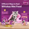Whiskas Junior Kitten (2-12 Months) Salmon in Jelly Flavour Wet Cat Food - 80 gm Pack
