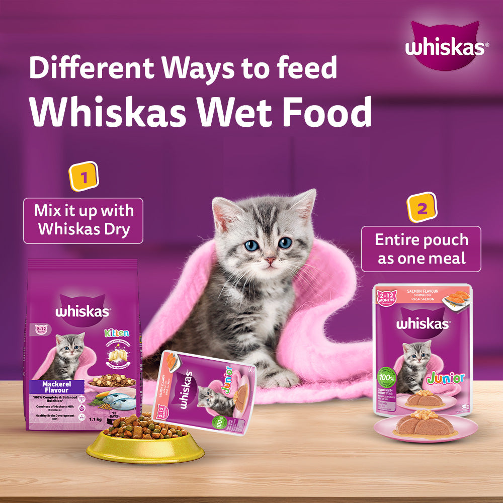 Whiskas Junior Kitten (2-12 Months) Salmon in Jelly Flavour Wet Cat Food - 80 gm Pack