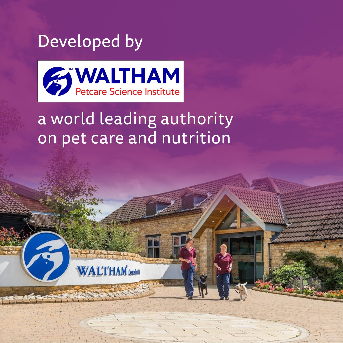 Whiskas Tasty Mix Wet Food Made With Real Fish (Salmon & Wakame Seaweed) With Chicken in Gravy For Adult (1+ year) Cat - 70 gm Pack