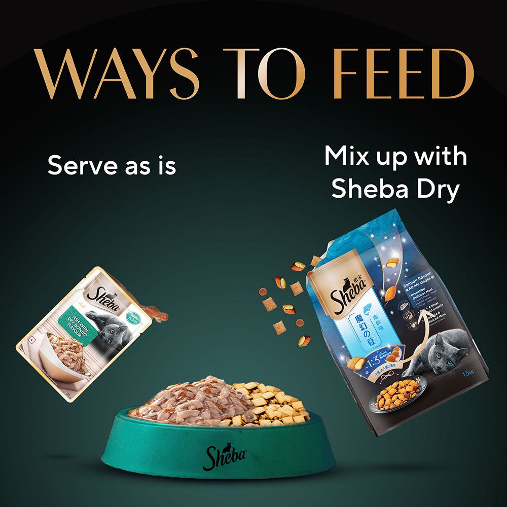 Sheba Rich Premium (1+ Years) Fish with Dry Bonito Flavour Adult Wet Cat Food - 35 g - Packs