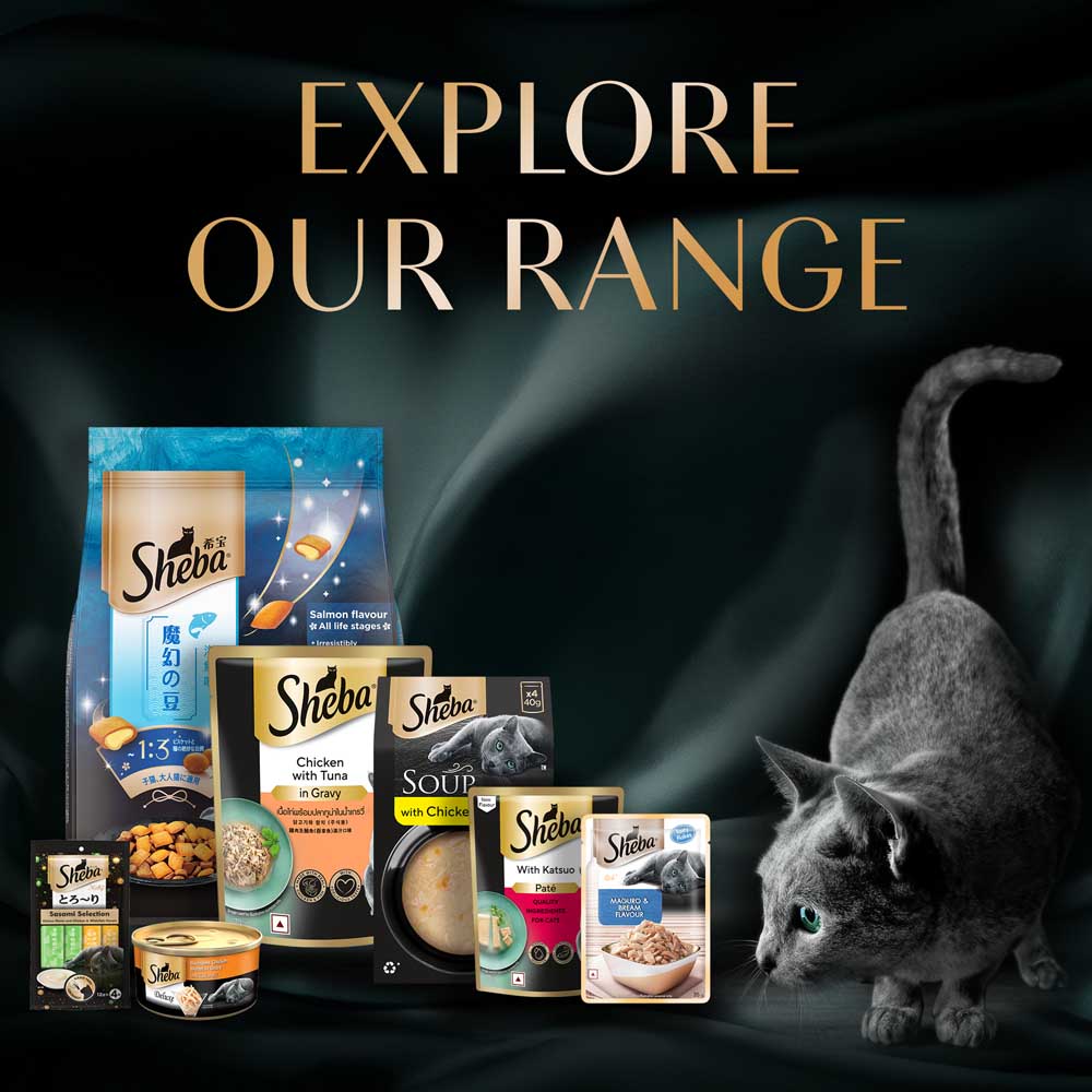 Sheba Chicken Premium Loaf Wet Kitten Food - 70 gm Packs - Heads Up For Tails