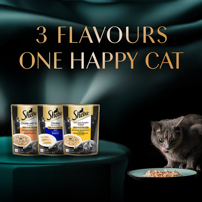 Sheba Rich Premium (1+ Years) Tuna Pumpkin & Carrot In Gravy Adult Wet Cat Food - (28 x 70gm) - Heads Up For Tails