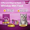 Whiskas Mackerel In Jelly (1+ Years) Adult Cat Wet Food - 80 gm Pack