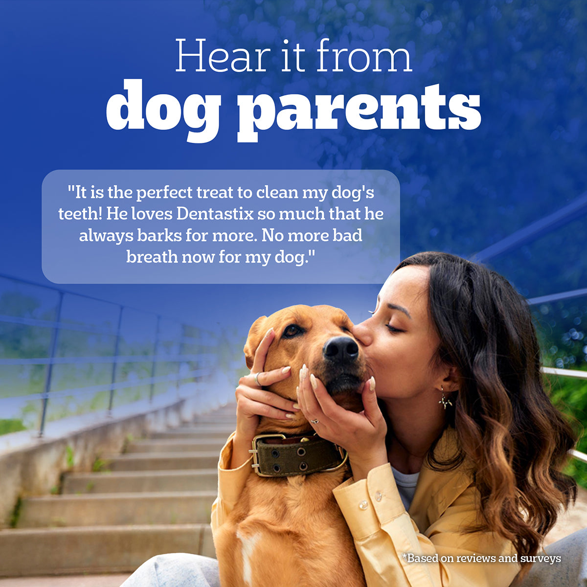 Pedigree Dentastix Dog Treat Weekly Pack For Small Breed - 110 g - Heads Up For Tails