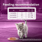 Whiskas Mackerel In Jelly Wet Food For Junior (2-12 Months) Kitten - 80 gm Pack - Heads Up For Tails