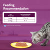 Whiskas Tuna and Chicken Meat in Jelly Flavour (1+ Years) Adult Cat Wet Food - 80 gm Pack