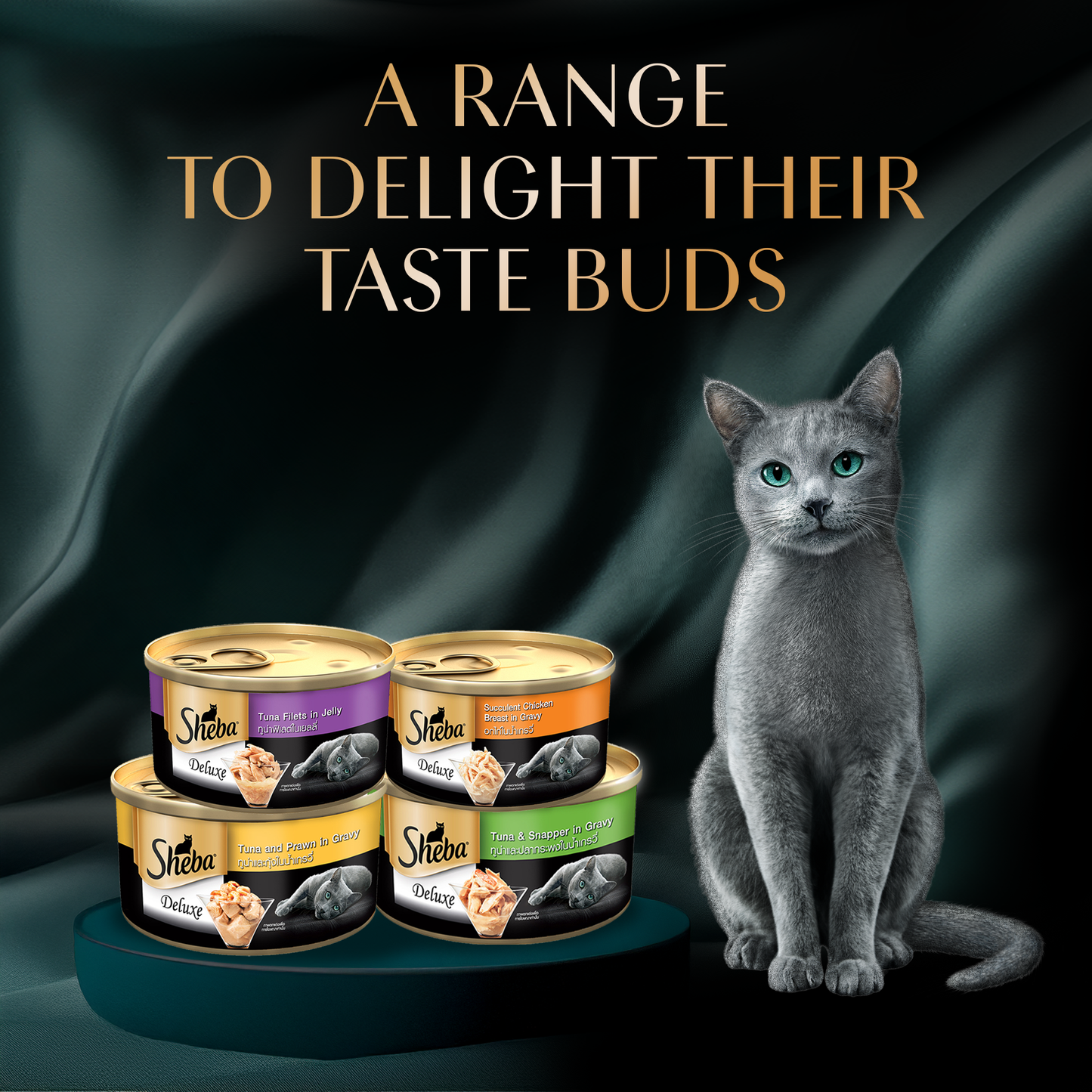 Sheba Succulent Chicken Breast in Gravy Adult Wet Cat Food - 85 gm Packs