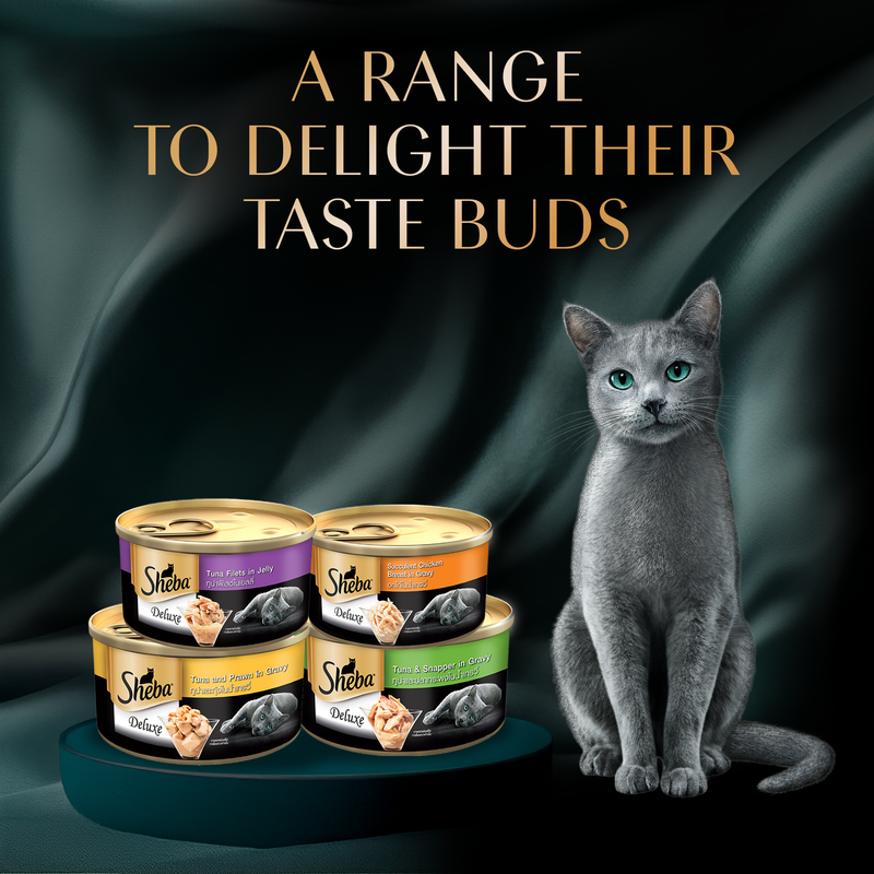 Sheba Deluxe Premium (1+ Years) Succulent Chicken Breast in Gravy Adult Wet Cat Food - 85 gm Packs - Heads Up For Tails