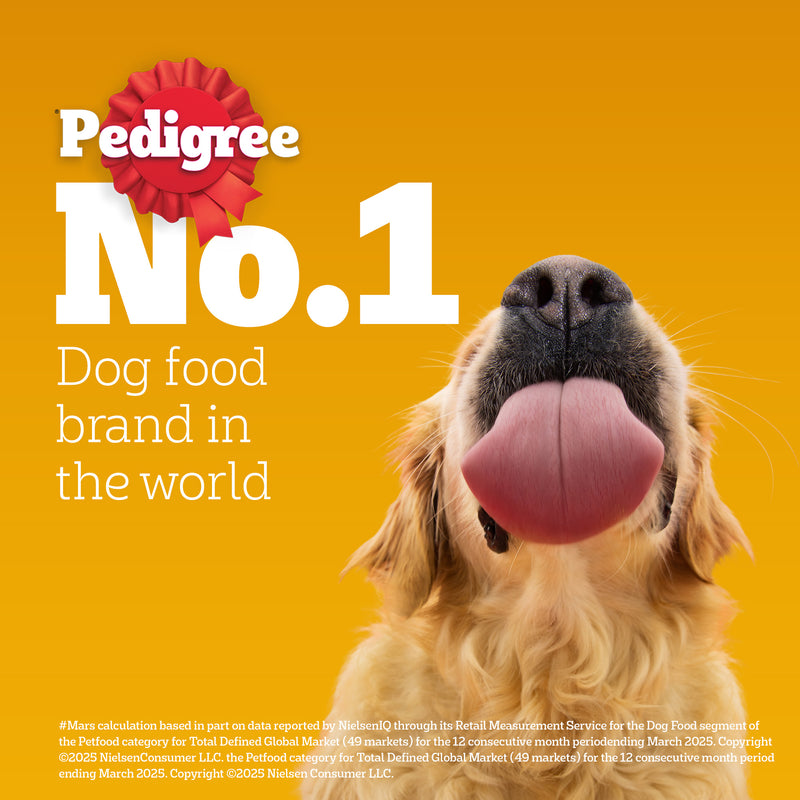 Pedigree 100% Vegetarian Dry Food For Adult Dog