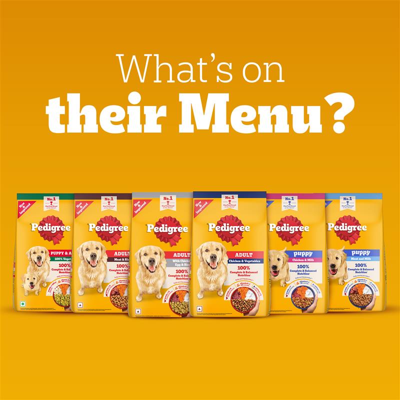 Pedigree Chicken & Milk Puppy Dry Dog Food (Contains 37 Essential Nutrients)