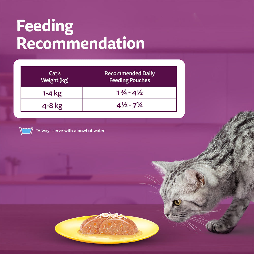 Whiskas Chicken with Salmon in Jelly Flavour (1+ Years) Adult Cat Wet Food - 80 gm Pack