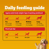 Pedigree Chicken & Liver Chunks In Gravy Adult Dog Wet Food - 130 g - Heads Up For Tails