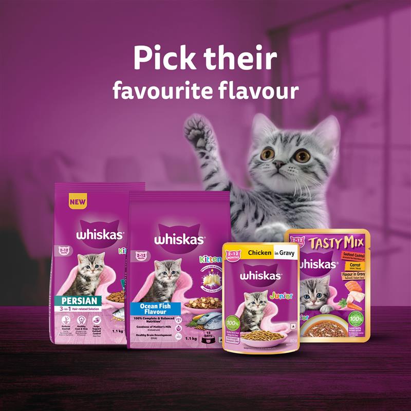 Whiskas Mackerel Flavour Dry Food For (2-12 Months) Kitten - Heads Up For Tails