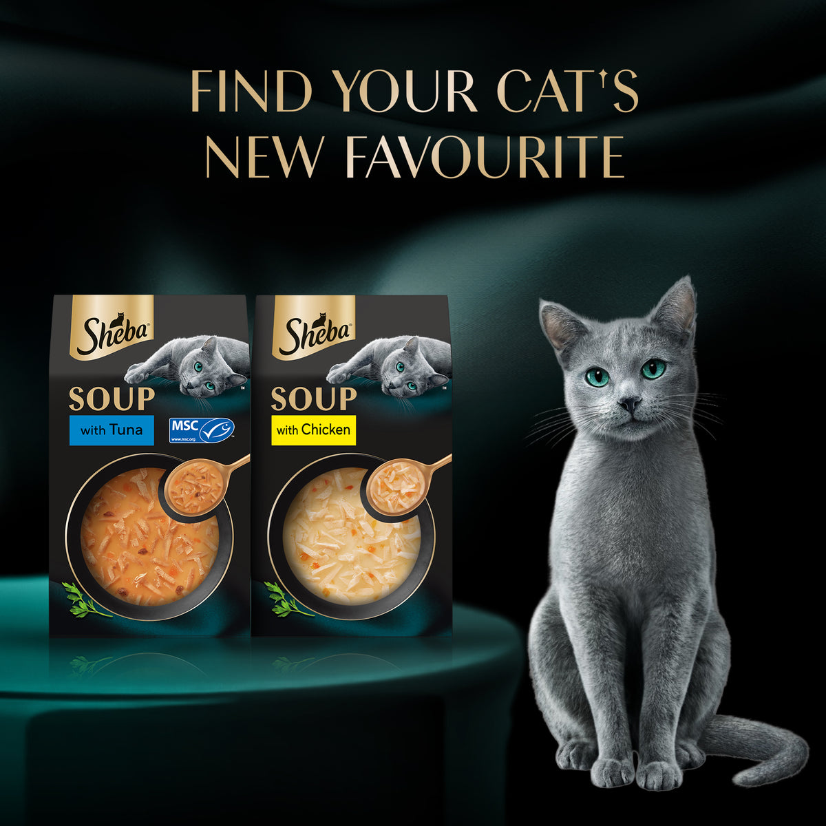 Sheba Soup With Tuna Wet Food For Cat - 40 gm x 4 pcs