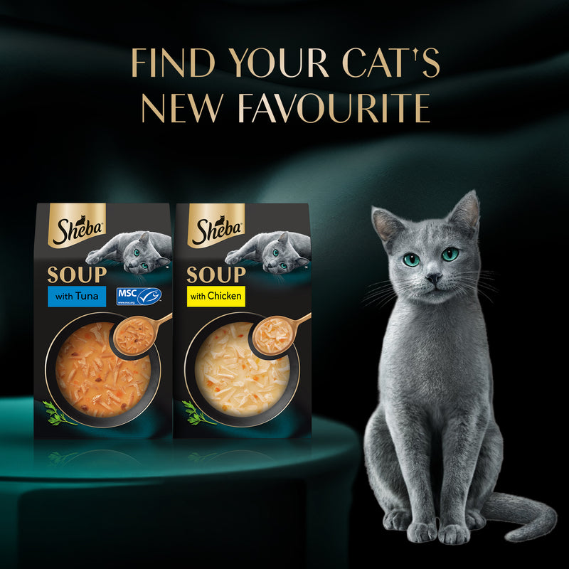 Sheba Soup With Tuna Wet Food For Cat - 40 gm x 4 pcs