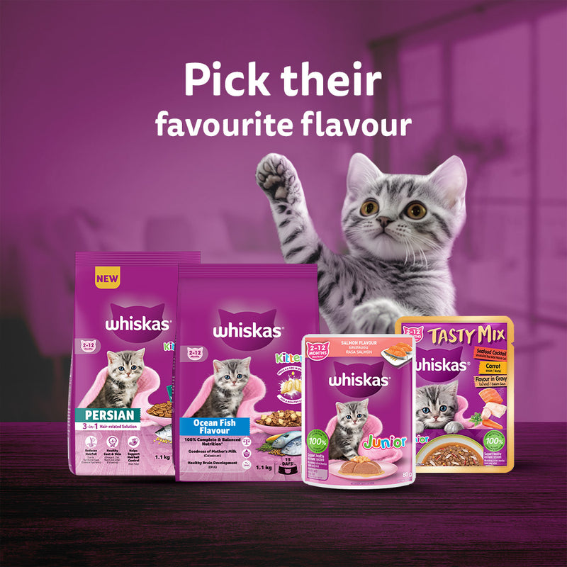 Whiskas Junior Kitten (2-12 Months) Salmon in Jelly Flavour Wet Cat Food - 80 gm Pack