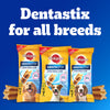 Pedigree Dentastix Dog Treat Weekly Pack For Medium Breed - 180 g - Heads Up For Tails
