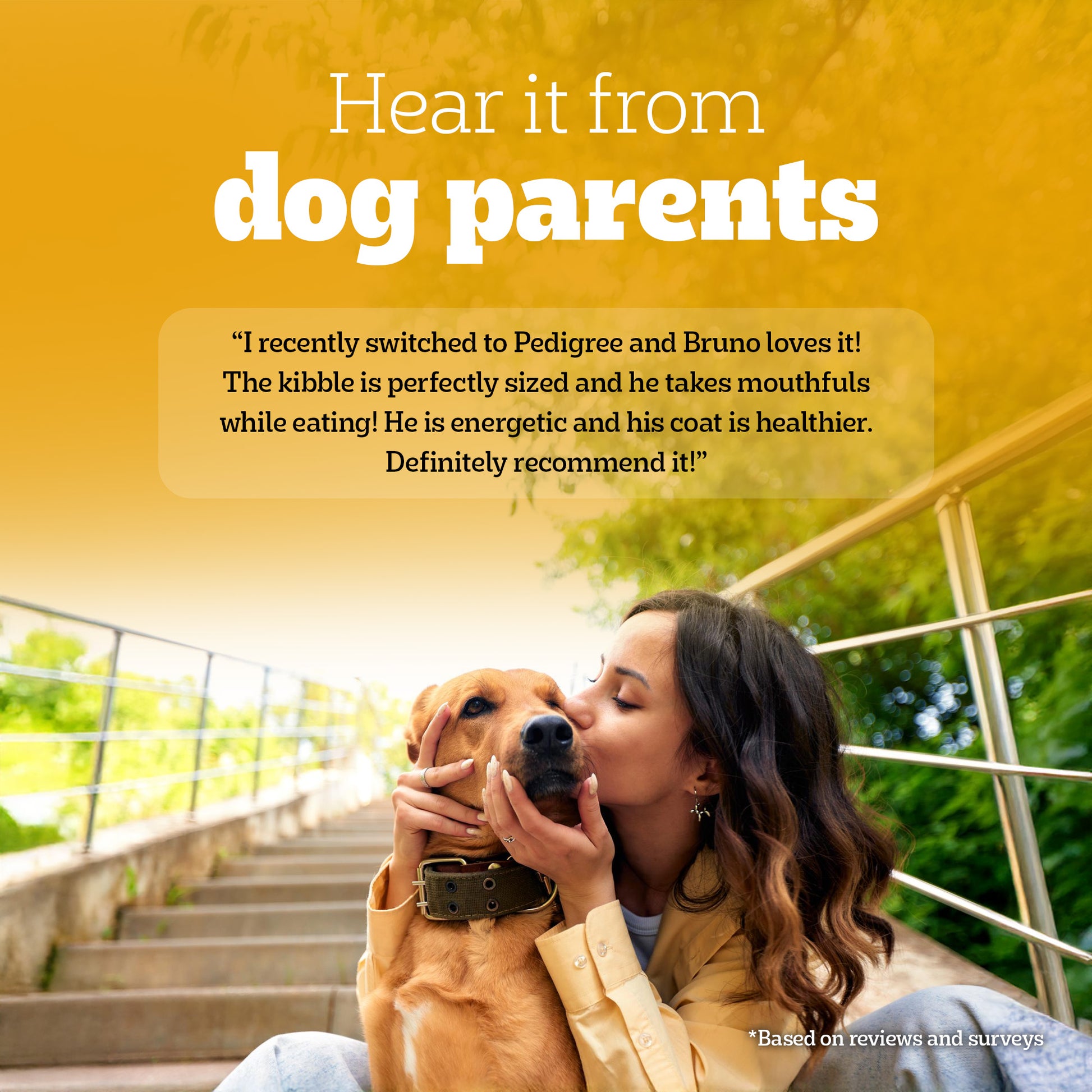 Pedigree Meat & Rice Adult Dry Dog Food - Heads Up For Tails