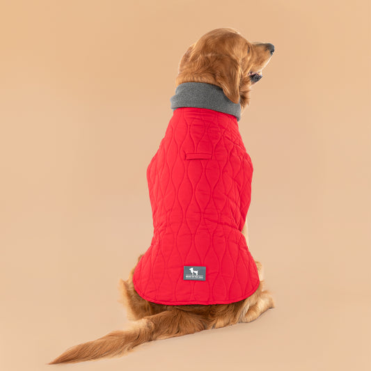 HUFT Charming Cherry Jacket For Big Dog - Red