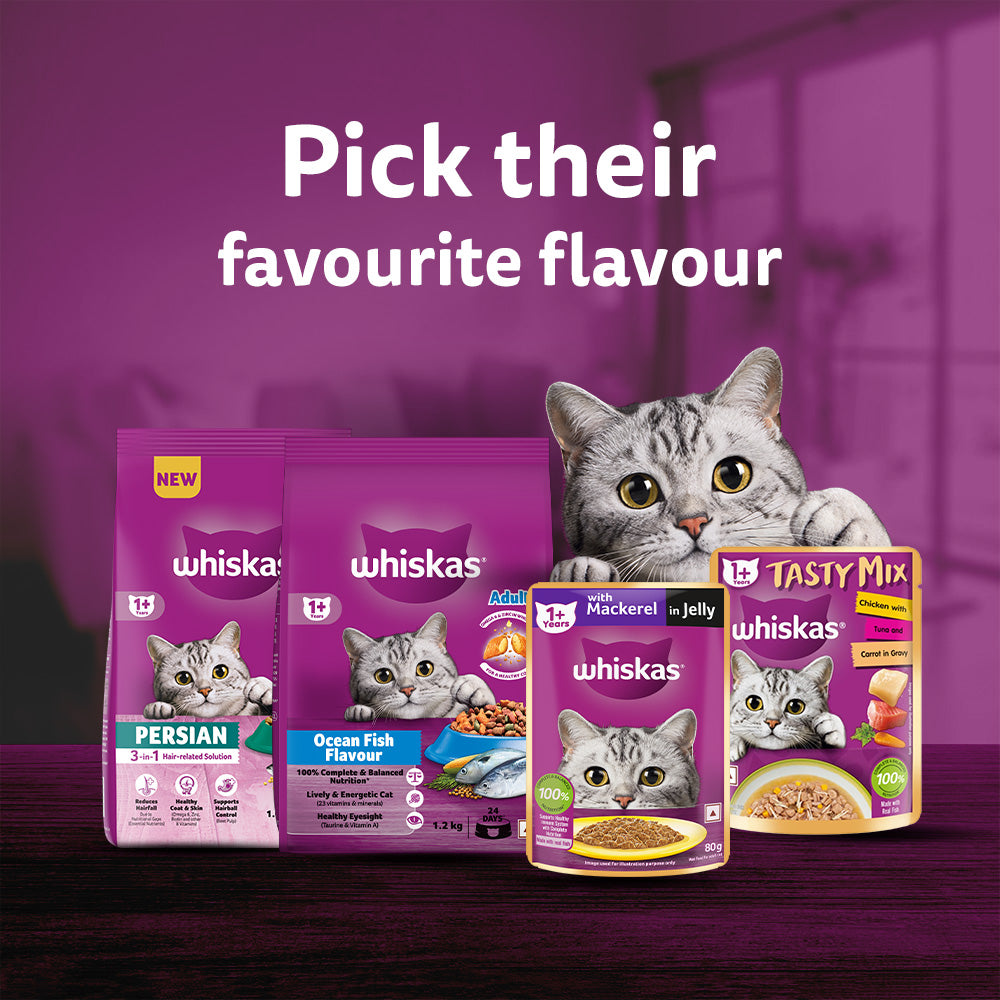 Whiskas Mackerel In Jelly (1+ Years) Adult Cat Wet Food - 80 gm Pack