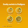 Pedigree 100% Vegetarian Dry Food For Adult Dog
