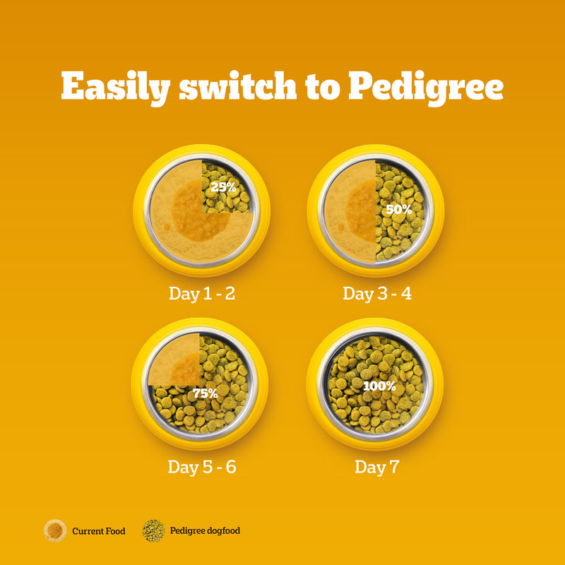 Pedigree 100% Vegetarian Dry Food For Adult Dog
