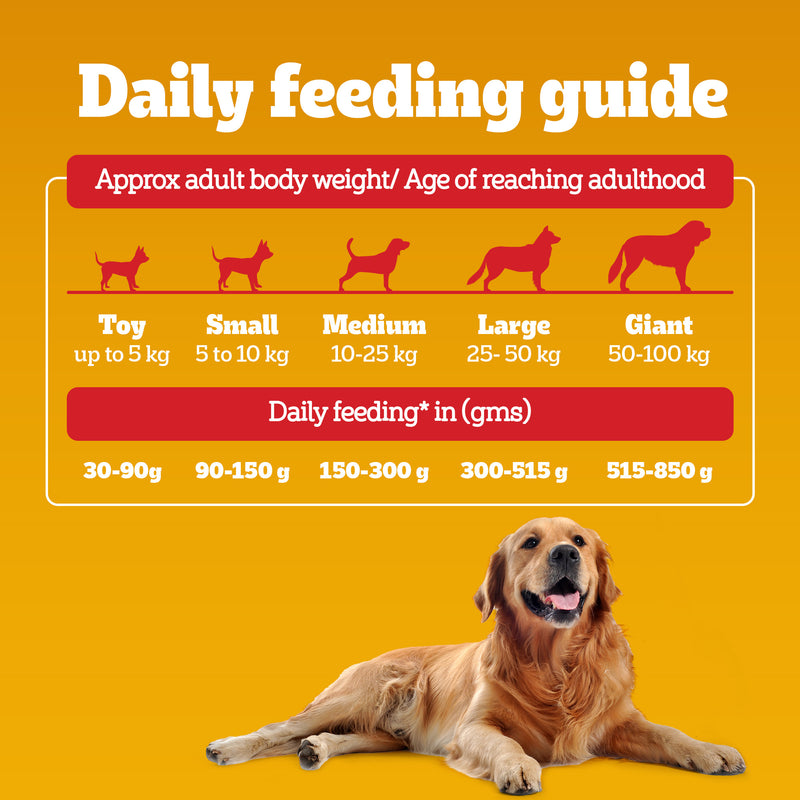 Pedigree 100% Vegetarian Dry Food For Adult Dog