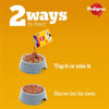 Pedigree Chicken & Liver Chunks in Gravy Adult Wet Dog Food - 70 g packs - Heads Up For Tails