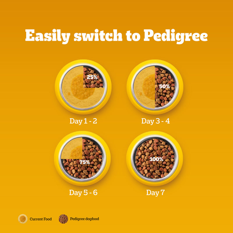 Pedigree Chicken & Vegetables Adult Dry Dog Food - Heads Up For Tails