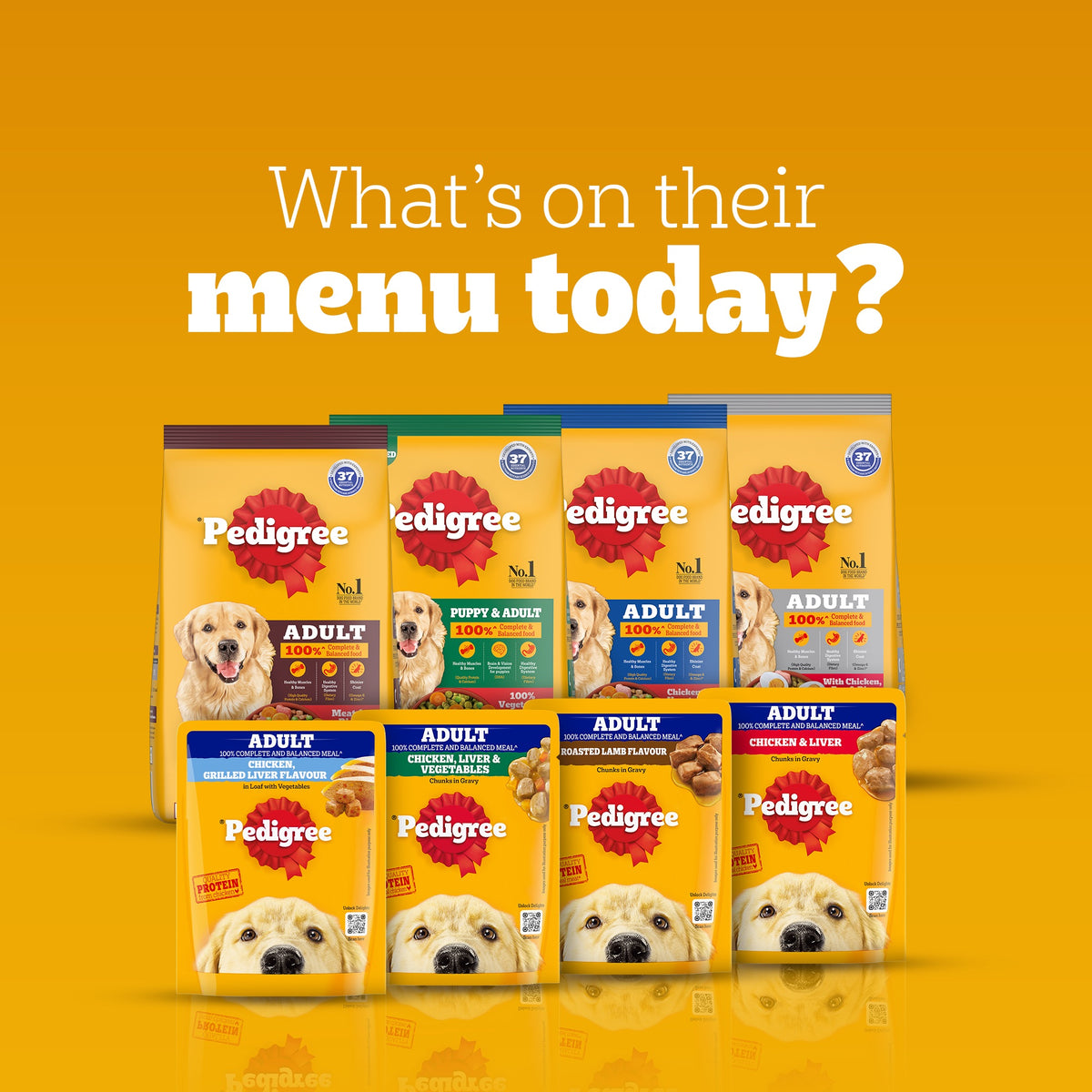 Pedigree Chicken & Liver Chunks in Gravy Adult Wet Dog Food - 70 g packs - Heads Up For Tails