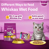Whiskas Ocean Fish Wet Food For Adult Cat - 80 gm Pack - Heads Up For Tails