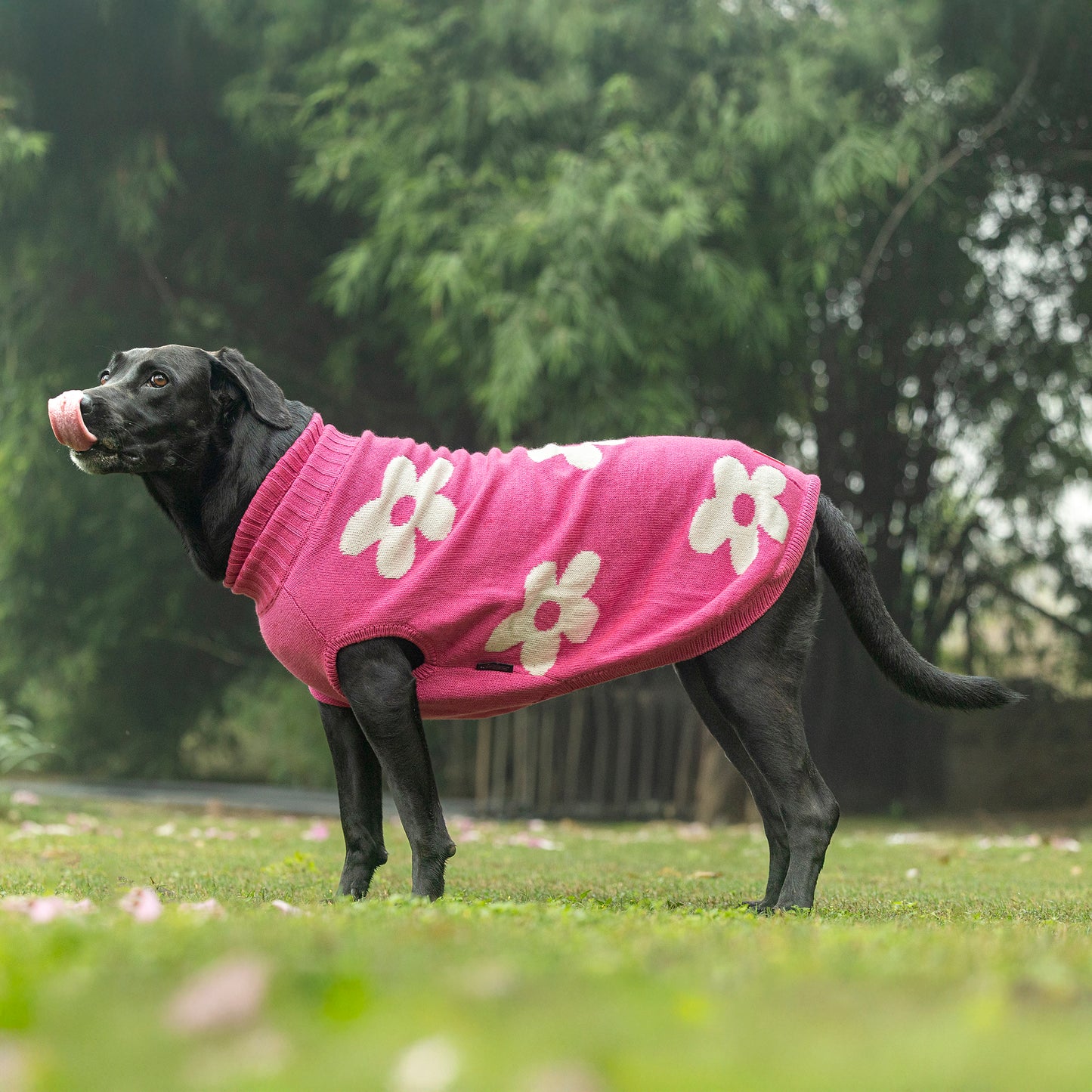 HUFT Blossom Knit Sweater For Dog - Pink - Heads Up For Tails
