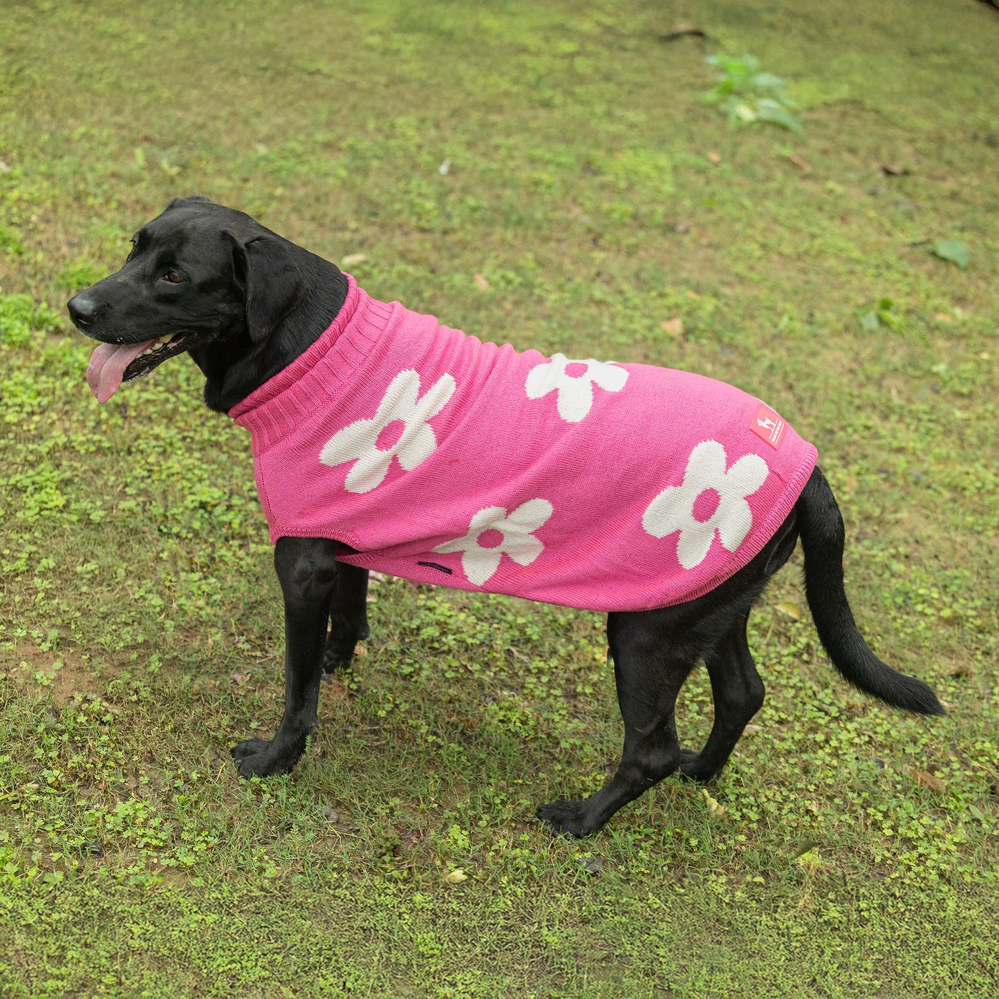 HUFT Blossom Knit Sweater For Dog - Pink - Heads Up For Tails