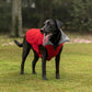 HUFT Charming Cherry Jacket For Big Dog - Red - Heads Up For Tails