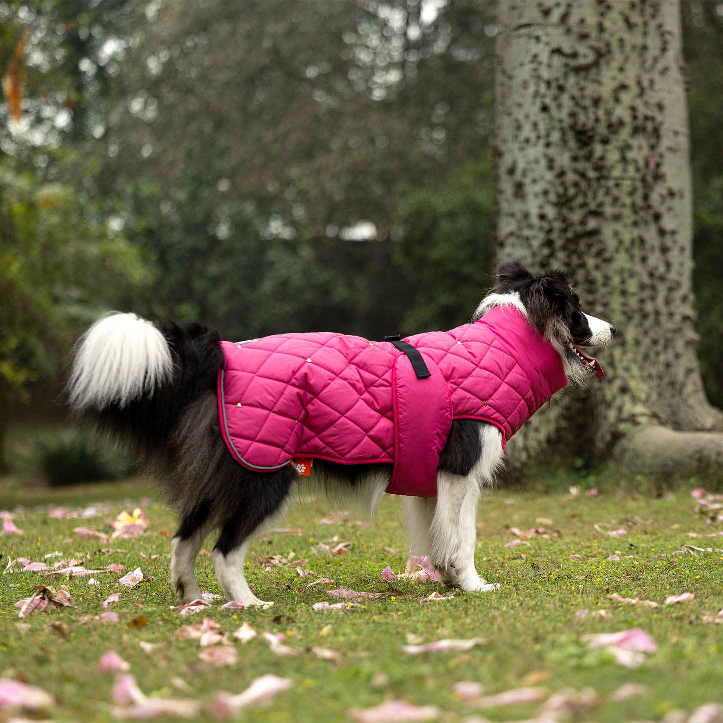 HUFT Starburst Snuggle Jacket For Dog - Pink - Heads Up For Tails