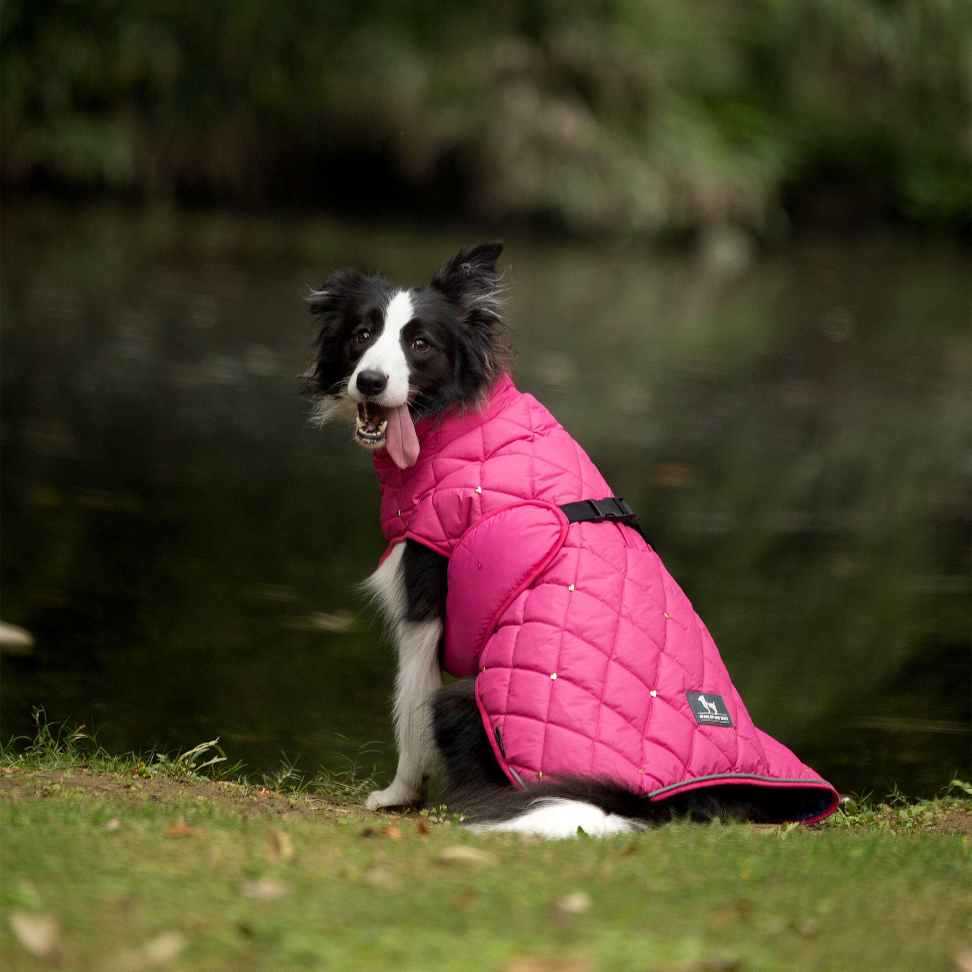 HUFT Starburst Snuggle Jacket For Dog - Pink - Heads Up For Tails