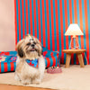 HUFT Summer Bloom Knot Bandana For Dog - Blue - Heads Up For Tails